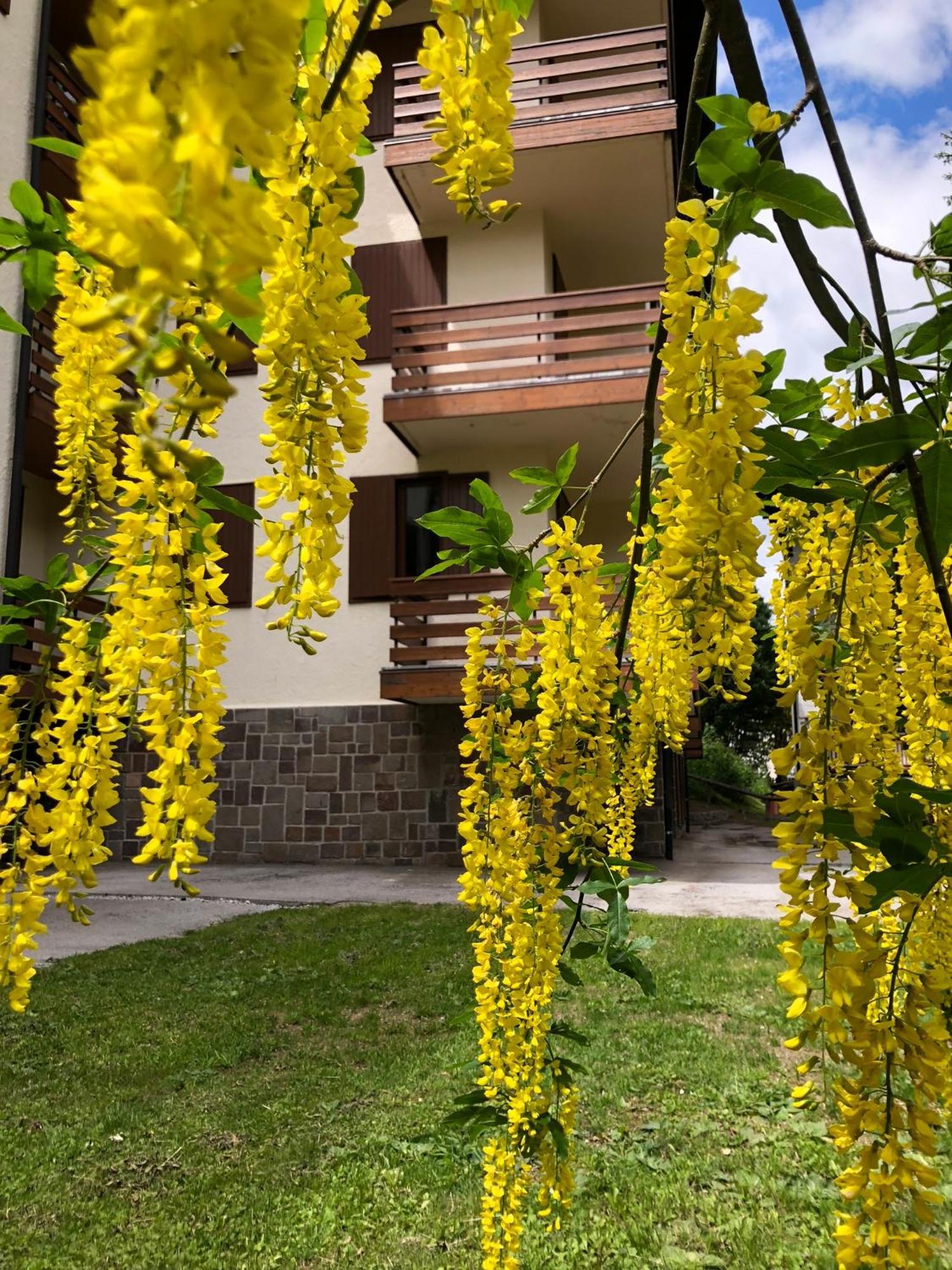 Casa Vaniglia *